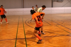 HFL2006_2007